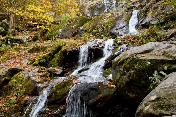 Podzimní lesní vodopád — Stock fotografie