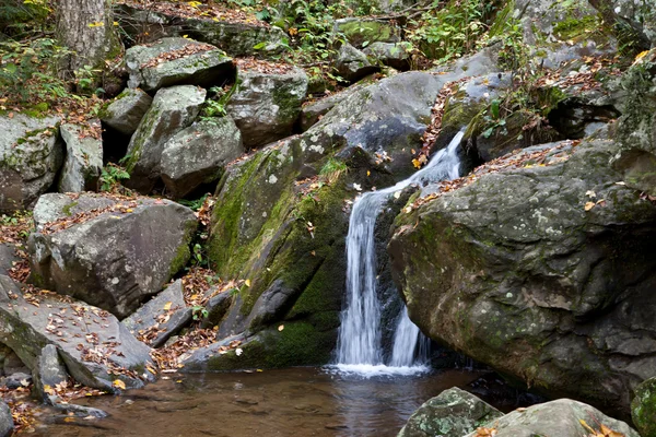 Herfst bos waterval — Stockfoto