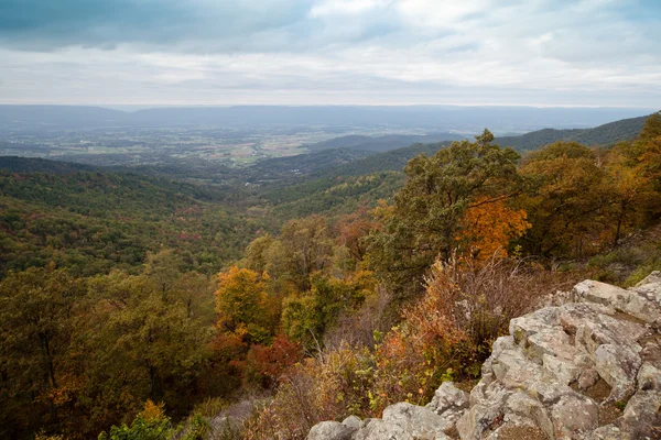 Appalachian Mountians Autumn Fall Landscape — Stock Photo, Image