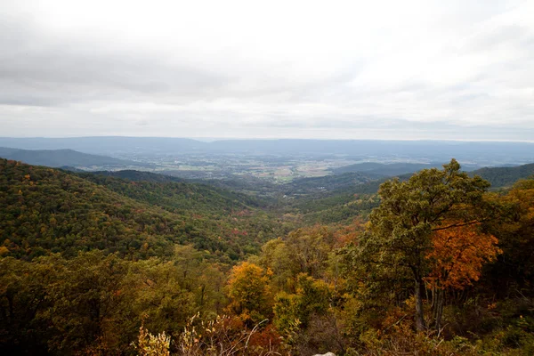 Appalachian mountians podzim podzim krajina — Stock fotografie