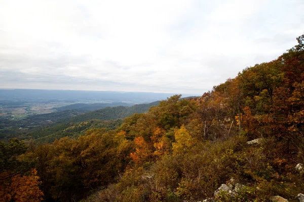 Appalachian Mountians Autumn Fall Landscape — Stock Photo, Image