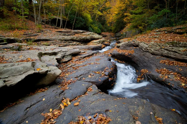 Podzimní Les, skály creek v lese listí žluté stromy — Stock fotografie