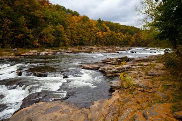 Podzimní Les, skály řeka v lese listí žluté stromy — Stock fotografie