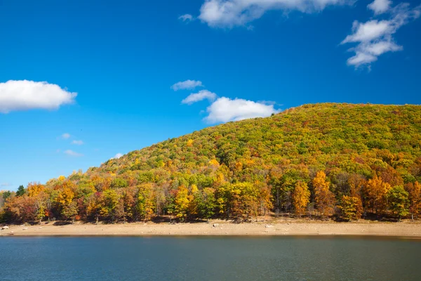 Rivier omgeven door herfst bos bergen — Stockfoto