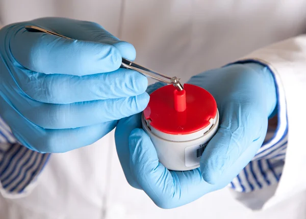 Scientist holds standard weight with tweezers — Stock Photo, Image