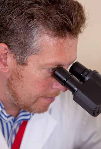 Scientist works with microscope — Stock Photo, Image