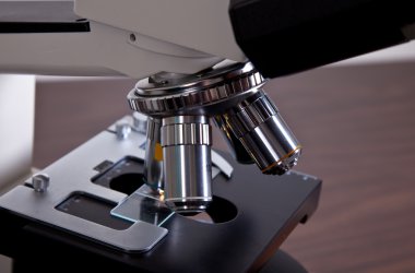 polarize ışık mikroskobu