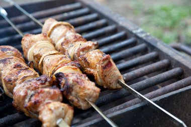 Barbekü ızgara et