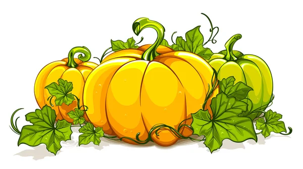 Pumpkins on white background — Stock Vector