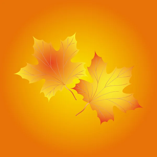 Herbst Hintergrund mit Blättern von Ahorn — Stockvektor