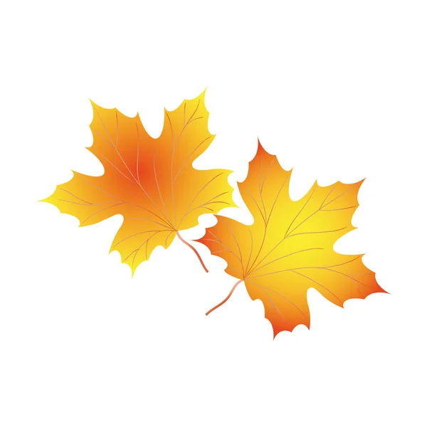 Fundo de outono com folhas de bordo —  Vetores de Stock