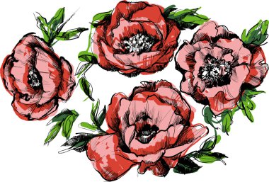çiçekler peonies güzel bir çelenk kroki