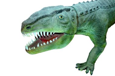 postozuh archosaur vahşi yırtıcı hayvan
