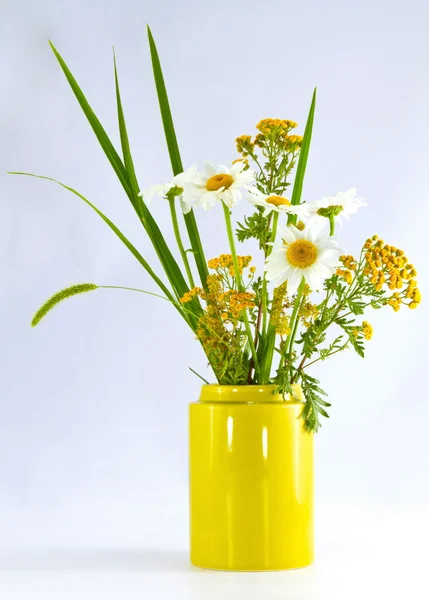 Beautiful bouquet of wild flowers — Stock Photo, Image