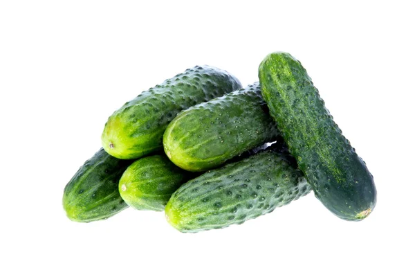 Ripe cucumber isolated on white background — Stock Photo, Image
