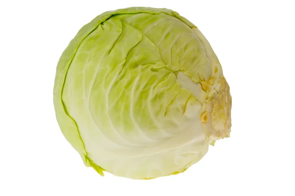 Vegetable sprouts close-up on white background — Stock Photo, Image