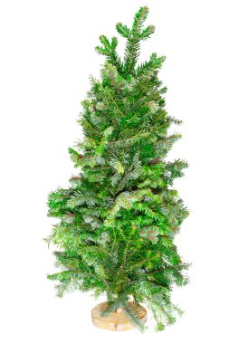 küçük ağaç Noel ağacı bir stand