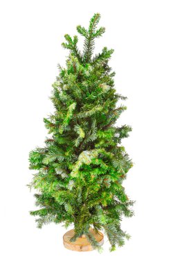 küçük ağaç Noel ağacı bir stand