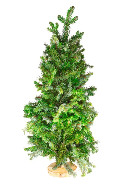Small tree Christmas tree on a stand — Stock Photo, Image