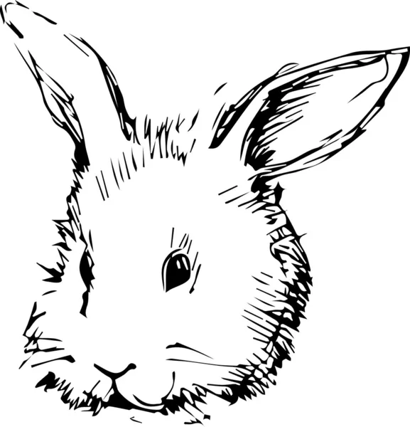 Bilden av en kanin med långa öron — Stock vektor