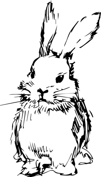 Immagine di un coniglio con le orecchie lunghe — Vettoriale Stock