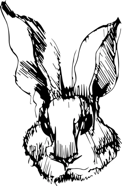 Obrázek králíka s dlouhé uši — Stockový vektor