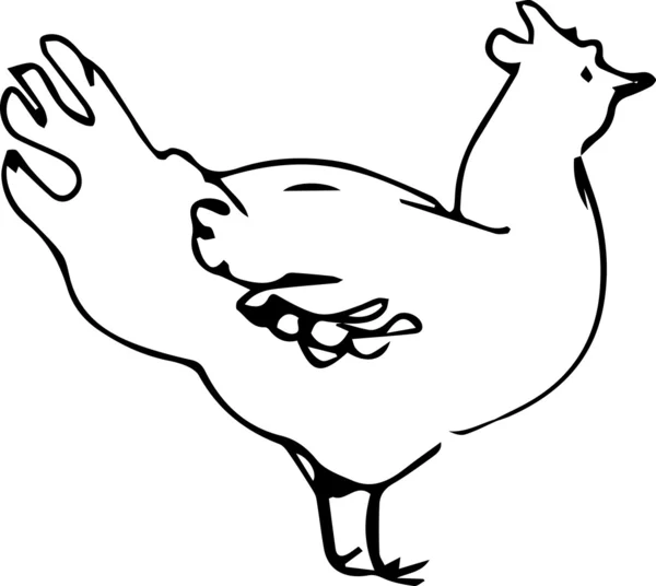 Bild des weißen Geflügels Tier Henne — Stockvektor