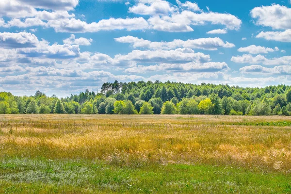 Paisaje hermosas nubes sobre un gran campo cerca del bosque — Foto de Stock