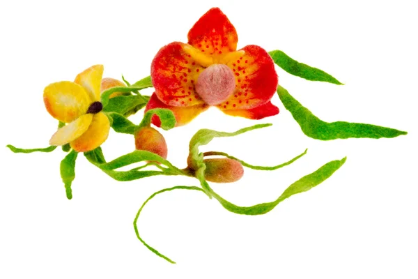 Artículo de mariposa de lana de colores y orquídea — Foto de Stock