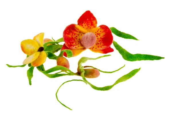 Artículo de mariposa de lana de colores y orquídea — Foto de Stock