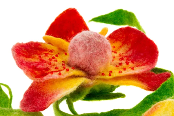 Articolo da farfalla di lana colorata e orchidea — Foto Stock