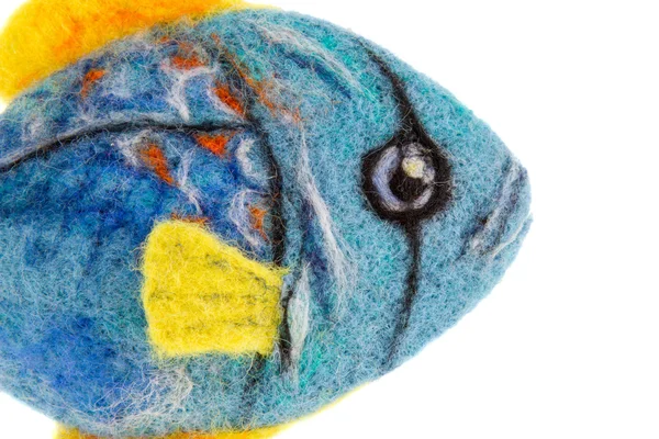 Schöne blaue Aquarienfische aus Wolle — Stockfoto