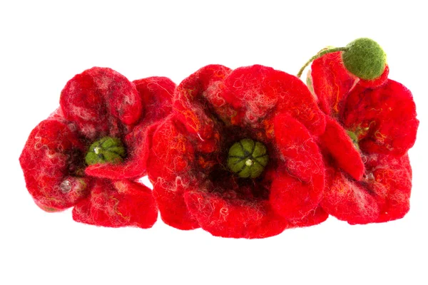 Hoepel op het hoofd van rode papavers en madeliefjes — Stockfoto