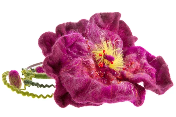 Decoration beautiful burgundy flower hoop on the head — Stock Photo, Image