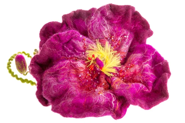 การตกแต่ง ห่วงดอกไม้สีม่วงที่สวยงามบนหัว — ภาพถ่ายสต็อก