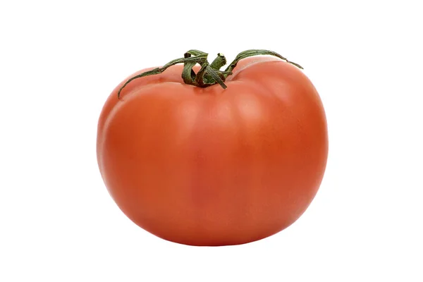 Bild Von Reifen Roten Tomaten Gemüse Auf Weißem Hintergrund — Stockfoto