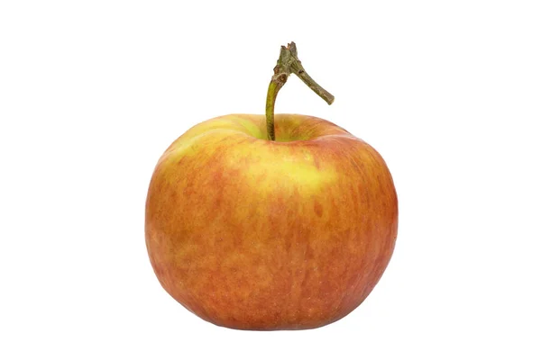 Image Une Pomme Mûre Avec Une Queue Cheval Sur Fond — Photo