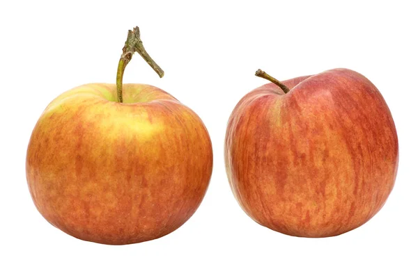 ปภาพของแอปเป ลหวานเปร ยวสองล กบนพ นหล ขาว — ภาพถ่ายสต็อก