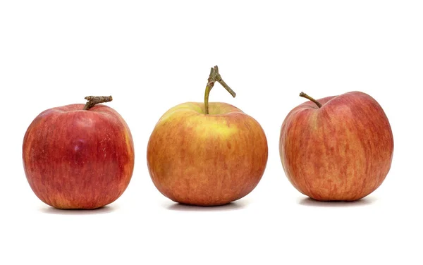 Image Trois Fruits Mûrs Pommes Délicieuses Rouge Jaune — Photo