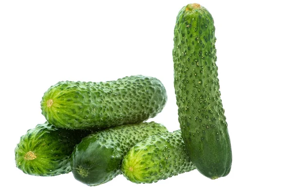 Image Ripe Cucumber Vegetables White Background — Stock Photo, Image