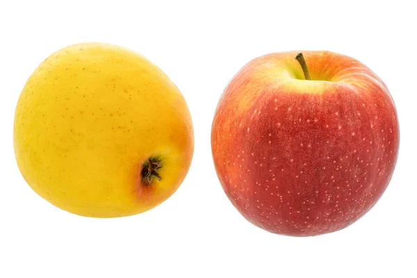Image Ripe Fruit Two Apples Yellow Red — Photo