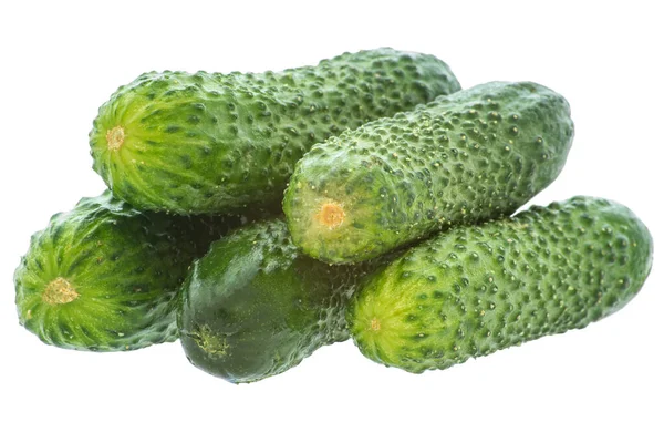 Image Vegetables Ripe Cucumbers White Backgroun — Fotografia de Stock