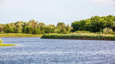 Geniş kıyıları olan büyük bir nehrin manzarası.