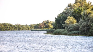 Geniş kıyıları olan büyük bir nehrin manzarası.