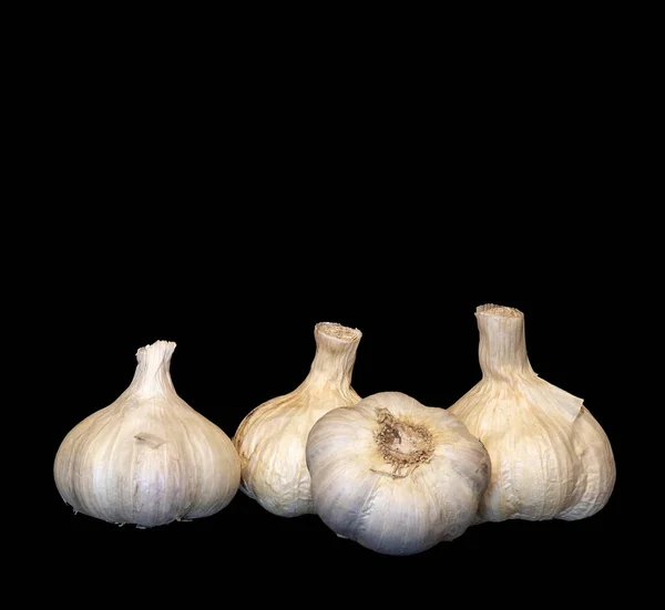 Image Several Heads Garlic Black Background — Zdjęcie stockowe