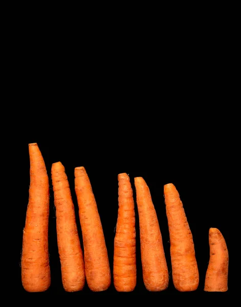 Immagine Carota Vegetale Matura Fondo Nero — Foto Stock