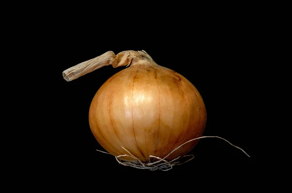 Image Single Vegetable Onion Black Background — Zdjęcie stockowe