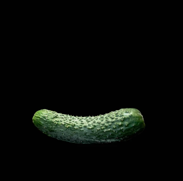 One Ripe Cucumber Black Background — Stock Photo, Image