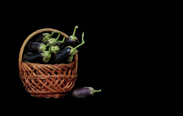 Image Eggplant Harvest Basket Black Background — Stock Fotó