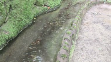 Parque da pena, sintra, Portekiz